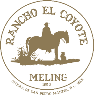 Rancho El Coyote