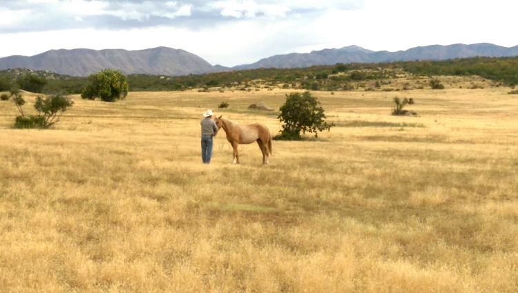 Rancho El Coyote