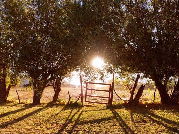 Rancho El Coyote